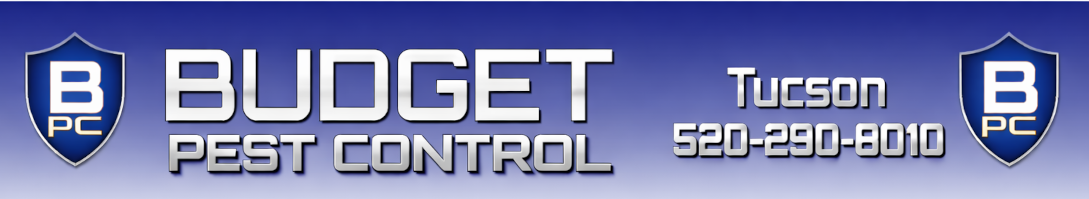 budget-banner-new11